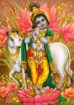 Krishna Cow Lotus Poster 12x17"